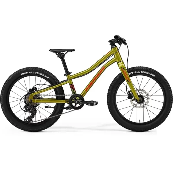 Merida Matts Kids Bike