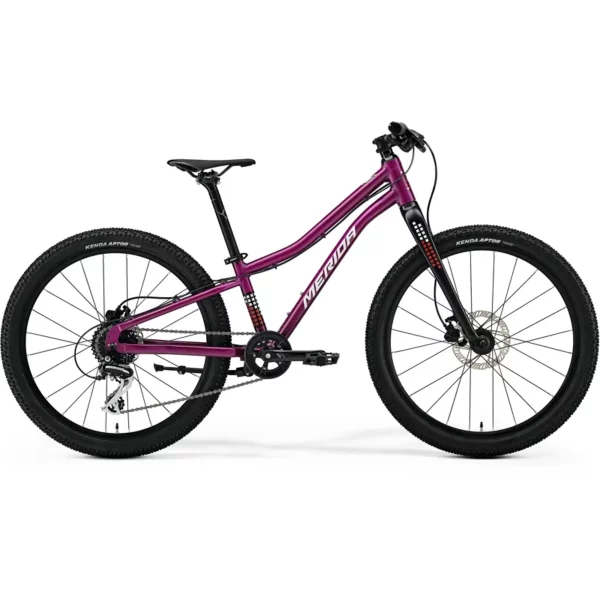 Merida Matts Kids Bike