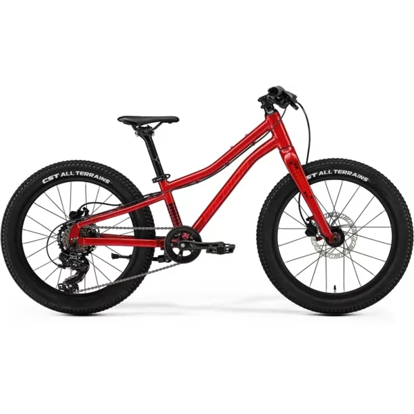 Merida Matts Kids Bike